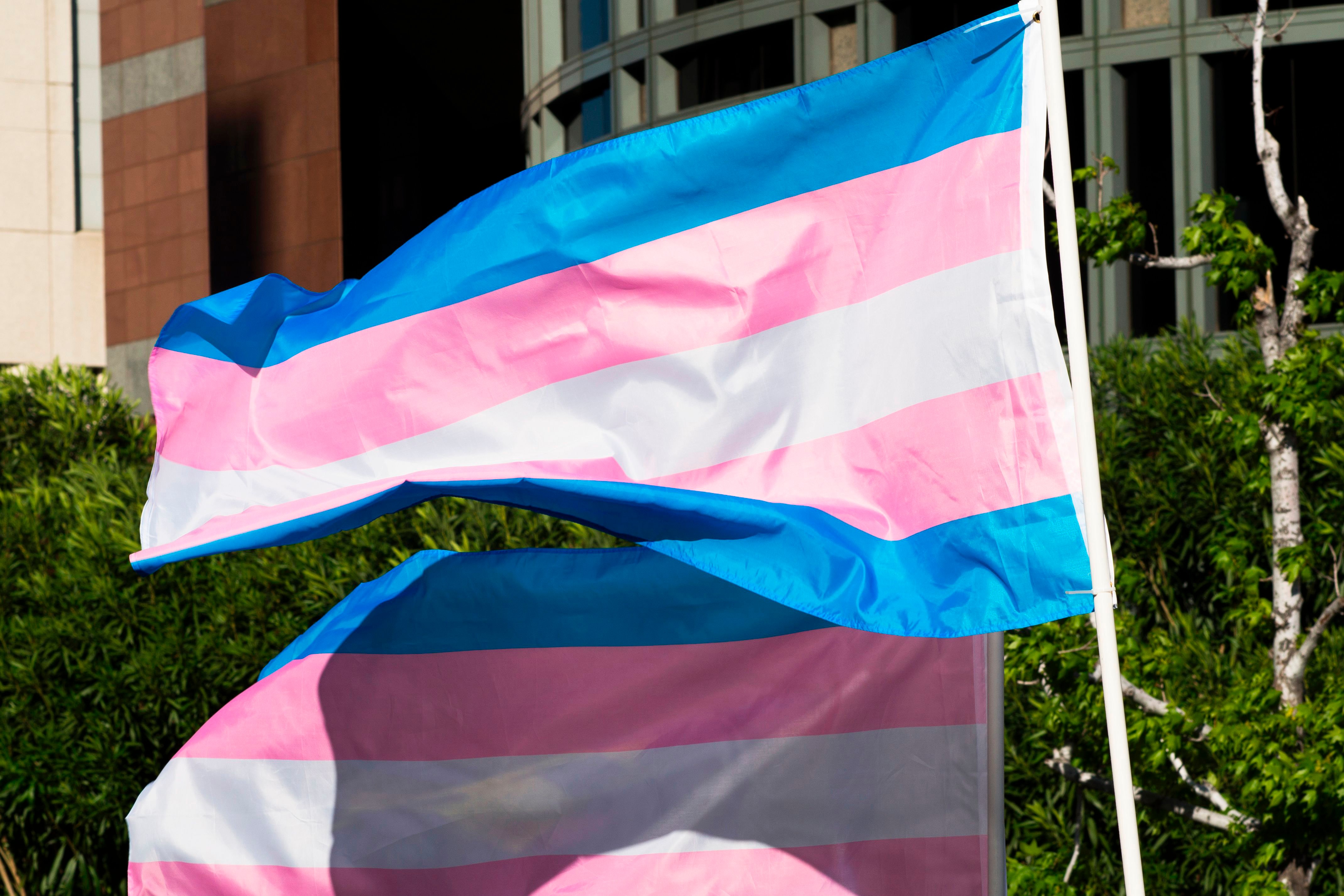 History of the Transgender Flag Pride Month LGBTQ Representation Design Monica Helms Parade Blue Pink White Flag Community