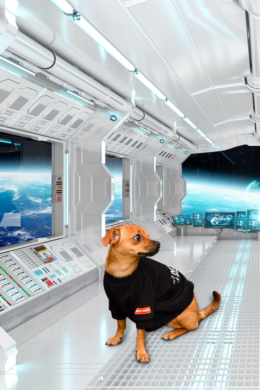 Very Important Puppies x Heron Preston NASA Collaboration Windbreaker Black