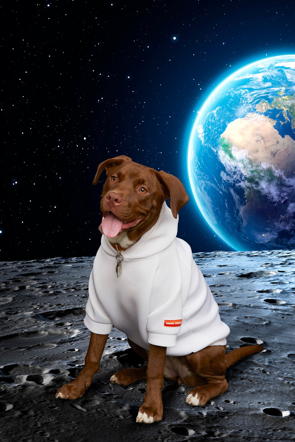 Very Important Puppies x Heron Preston NASA Collaboration Hoodie White