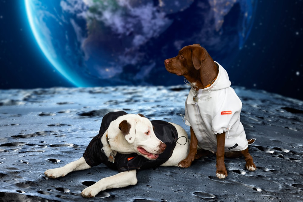Very Important Puppies x Heron Preston NASA Collaboration Windbreaker Black White