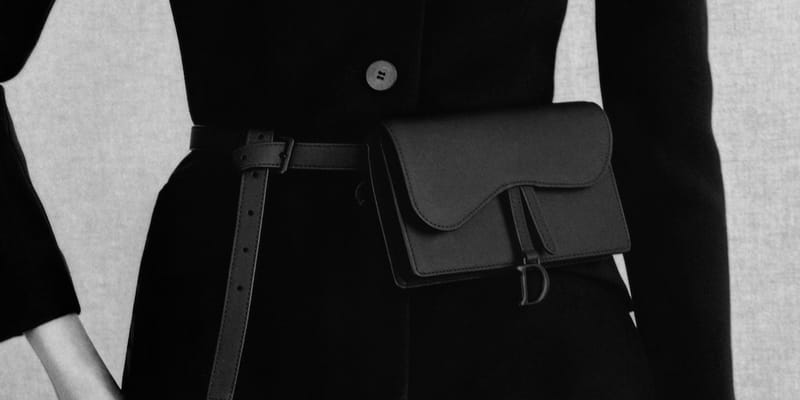 dior saddle belt bag price