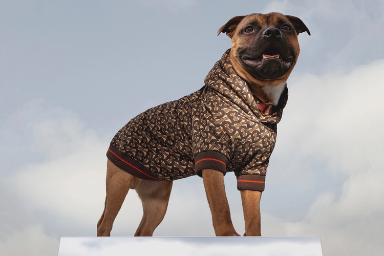 Burberry's Latest B Series Drop Is a Monogram Hoodie for Dogs