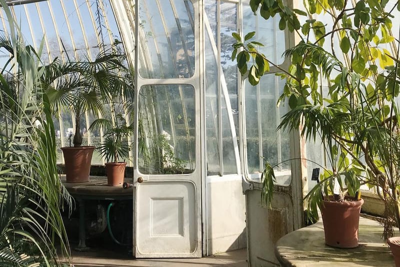 The World's First Plant Hotel Just Opened in London