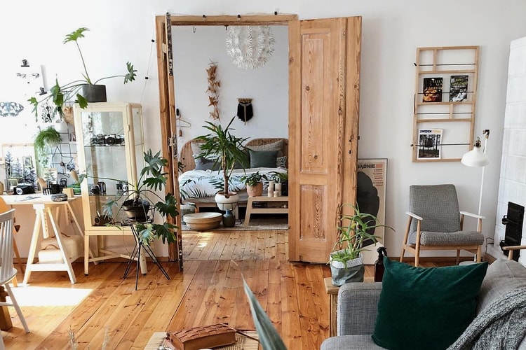 Here Are the 10 Best Places to Shop for House Plants Online