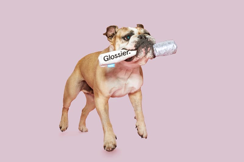 glossier bark dog toys makeup beauty pets boy brow