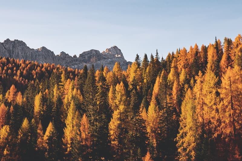 fall foliage travel usa united states nature yellow orange green trees blue sky mountains