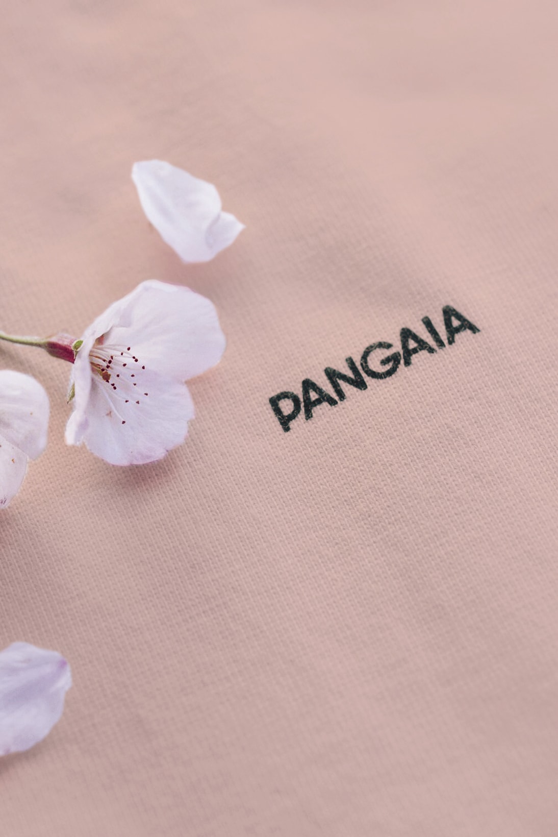 pangaia sakura blossom t shirt pink botanical dye unisex sustainability
