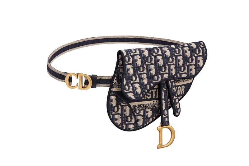 Dior Monogram Saddle Bag Logo Book Tote Cruise 2020 Print