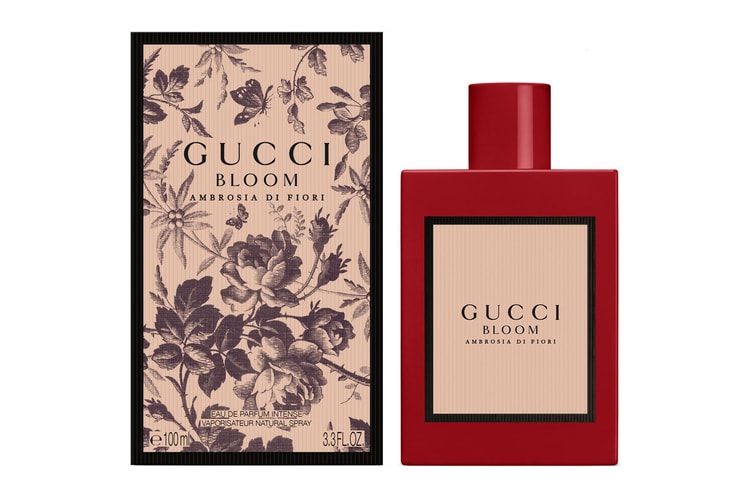 Gucci Bloom Introduces New Scent, Ambrosia di Fiori