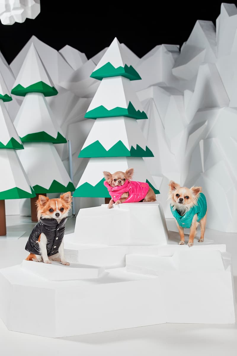 Poldo Dog Couture x Moncler Collection Lookbook Mondog Puffer Coat Black Blue Pink