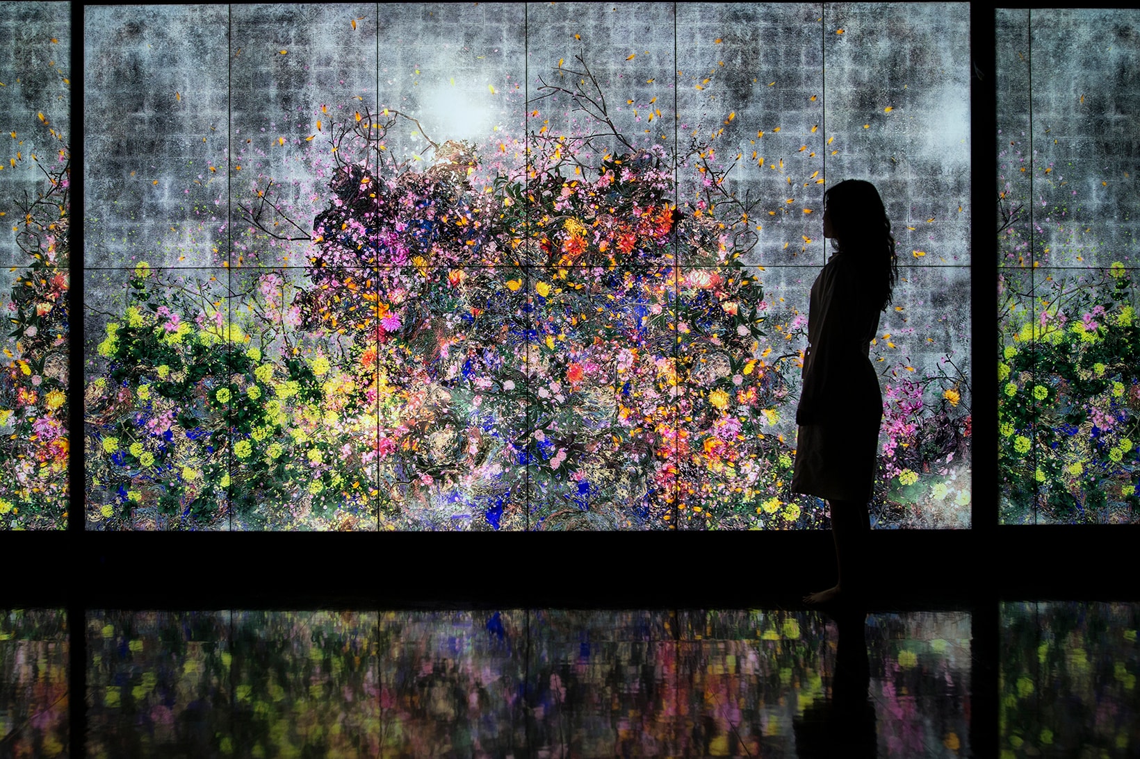 teamLab Singapore #futuretogether Continuous Life and Death at the Now of Eternity II