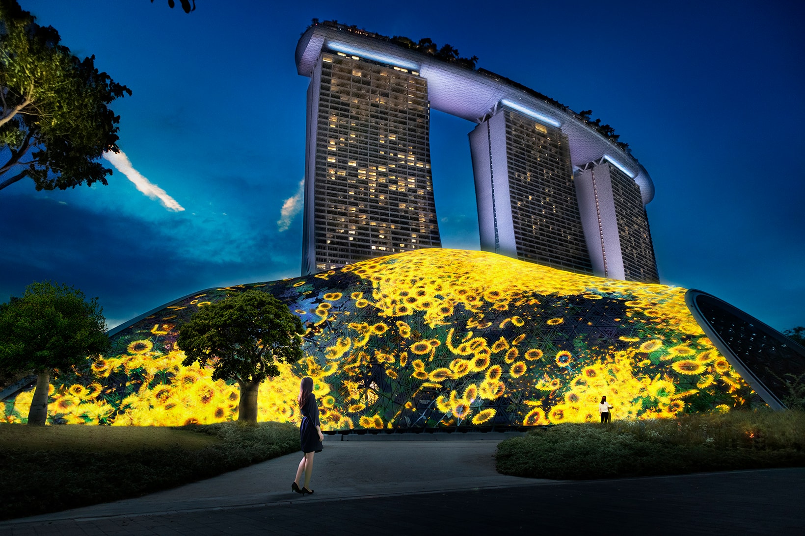 teamLab Singapore #futuretogether Flowers and People - Giant Lattice Mass