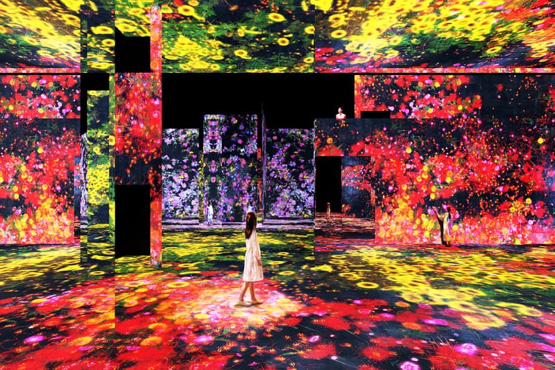 teamlab supernature macao the venetian digital art exhibition installation