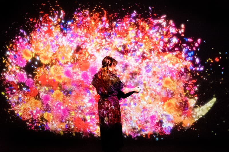 teamlab supernature macao the venetian digital art exhibition installation