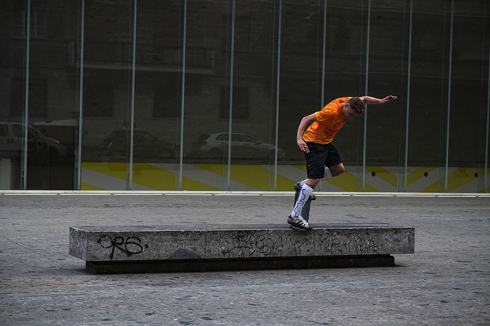 adidas skateboarding blondey mccoy superstar sneaker skateboard