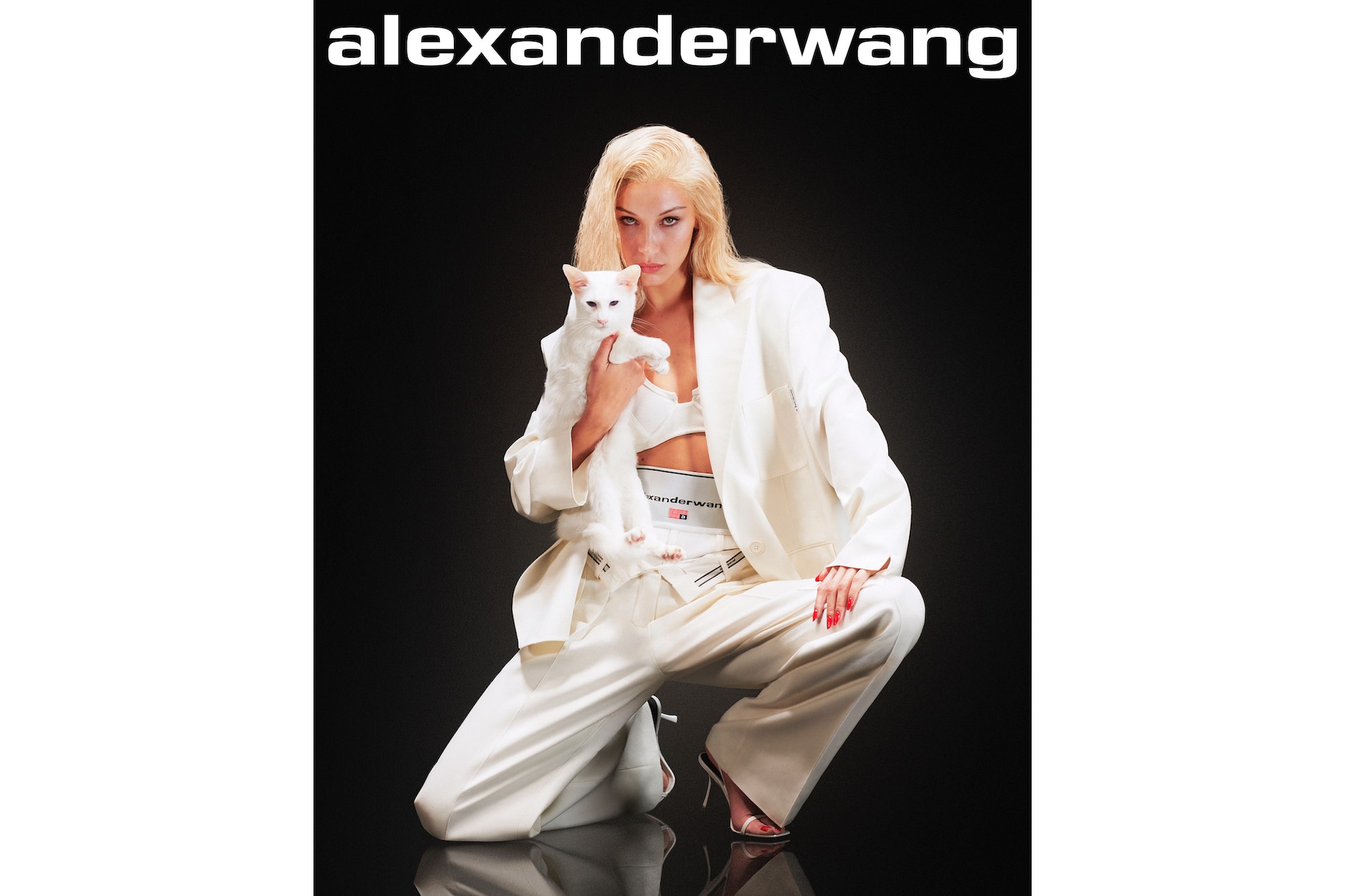 Alexander Wang Collection 1 Bella Hadid Campaign New York Statue of Liberty Ad Brianna Capozzi