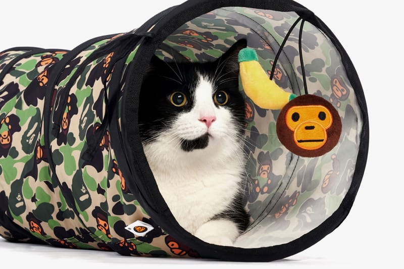 BAPE's Latest Baby Milo Pet Collection Is Made Just for Cats