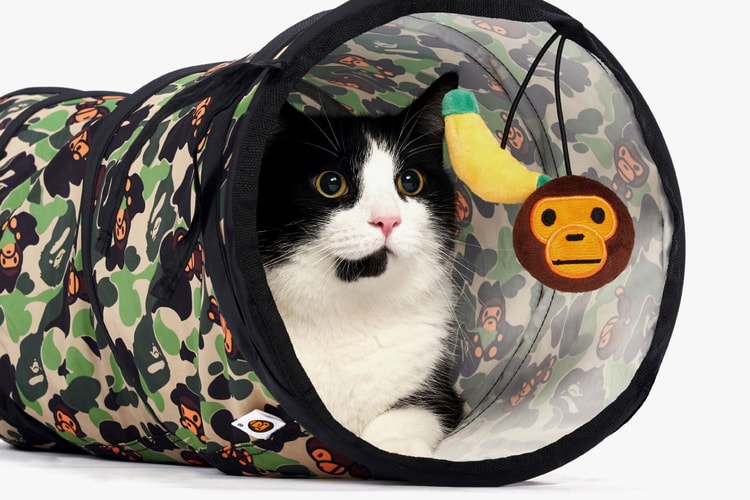 BAPE's Latest Baby Milo Pet Collection Is Made Just for Cats