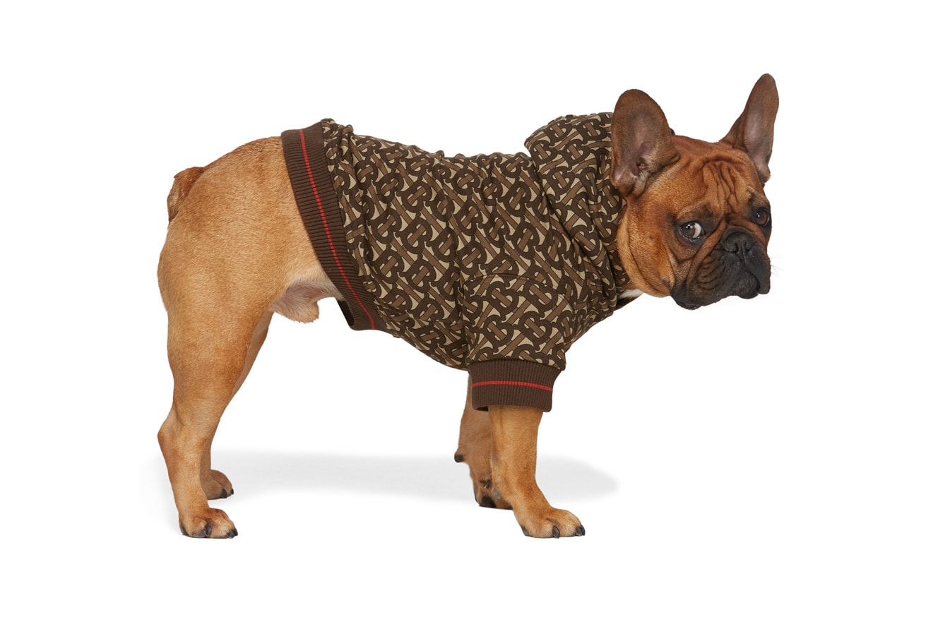 SSENSE Dog Clothing Burberry Monogram Hoodie Brown