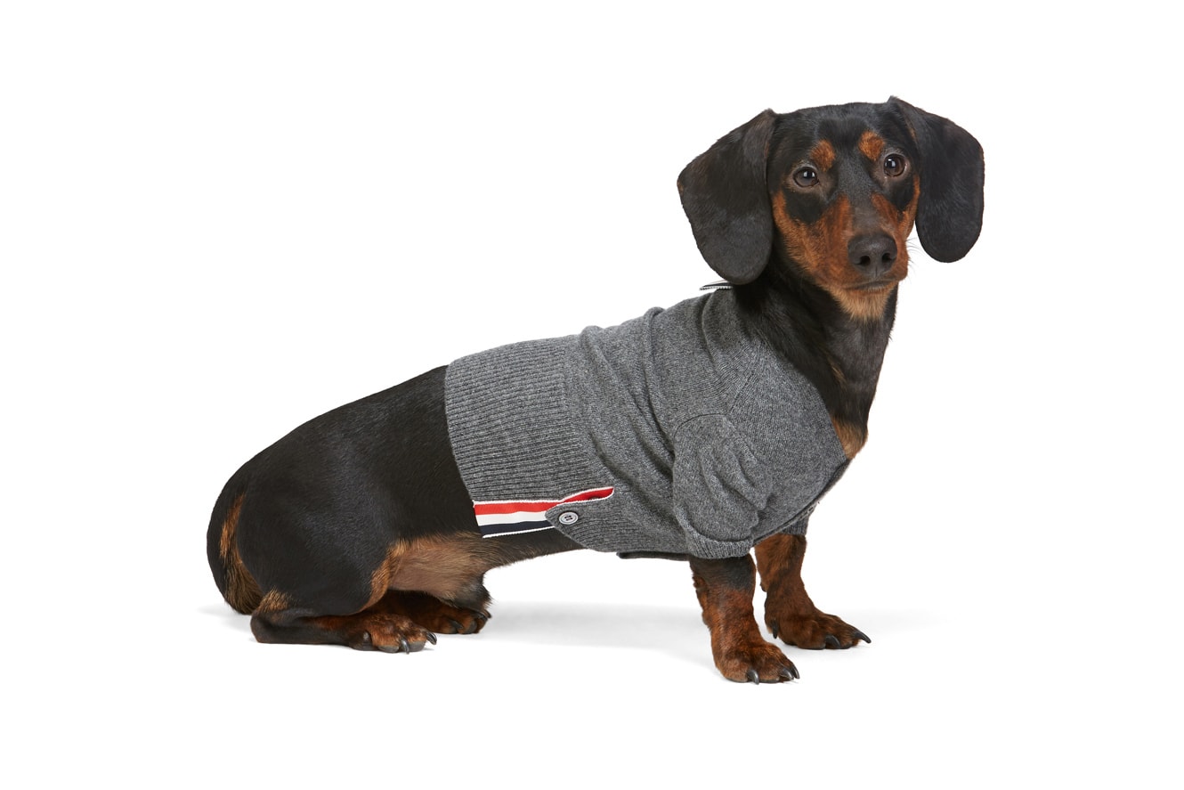 SSENSE Dog Clothing Thom Browne Sweater 4-Bar Rib Knit Grey