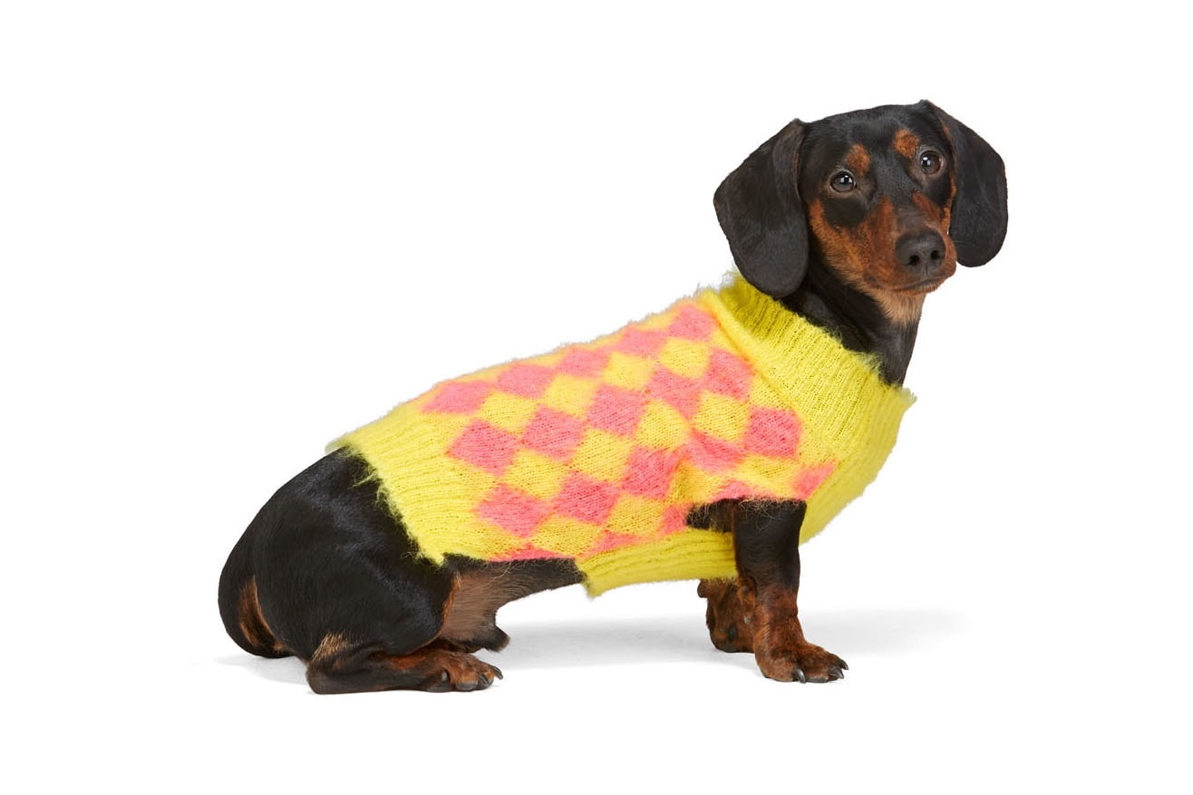 SSENSE Dog Clothing Ashley Williams Sweater Pink Yellow