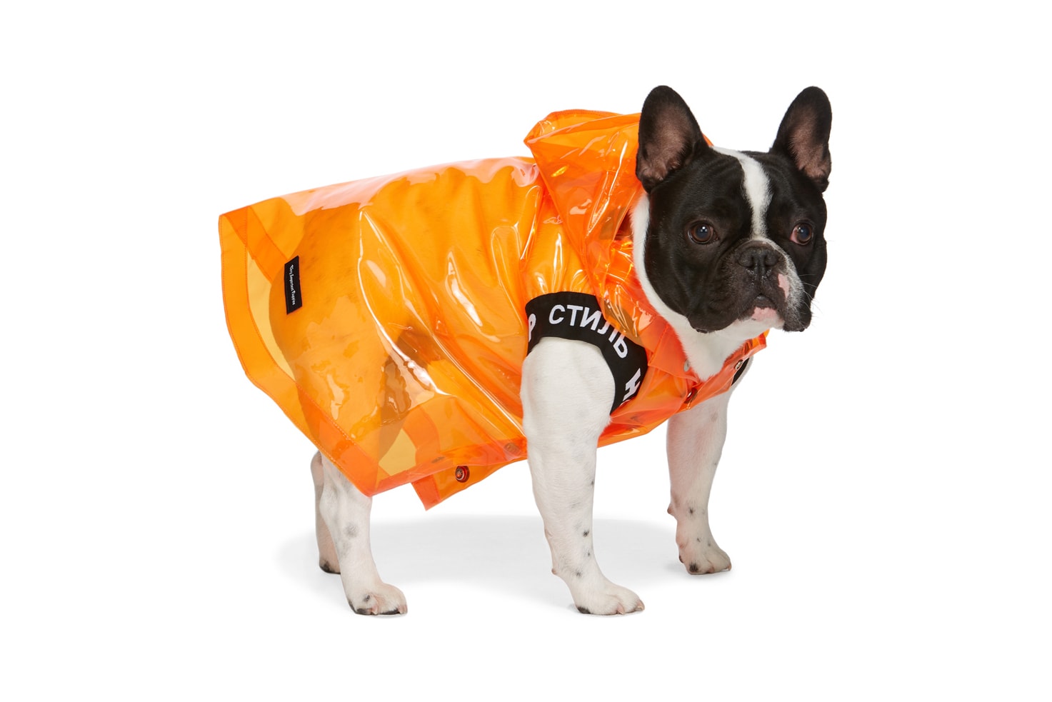 SSENSE Dog Clothing Heron Preston VIP Raincoat Orange