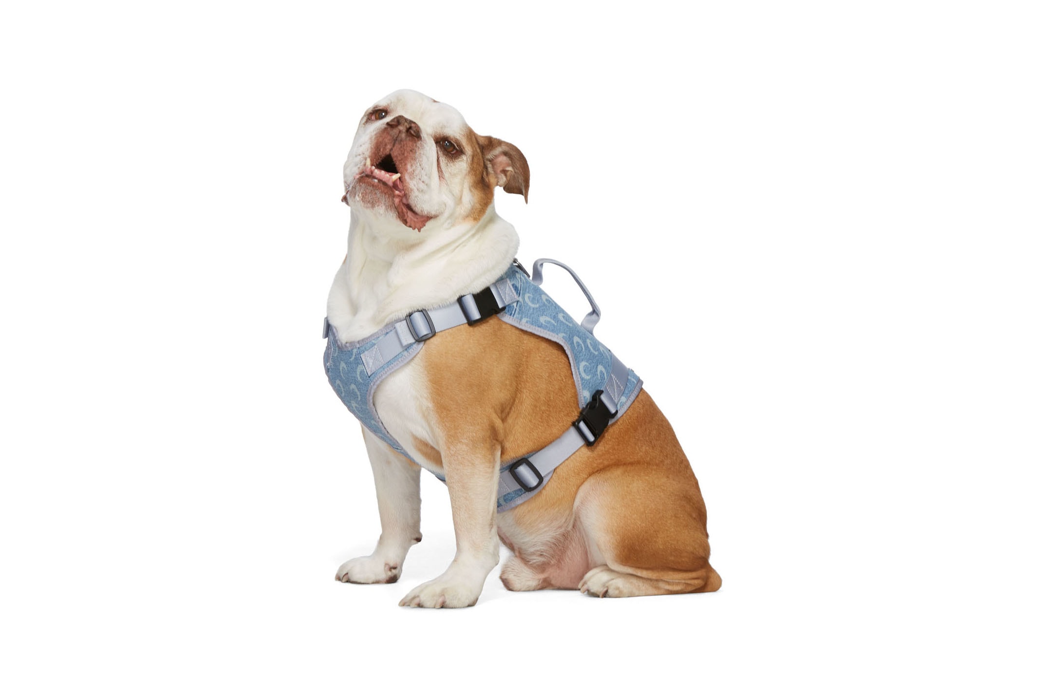 SSENSE Dog Clothing Marine Serre Harness Upcycled Denim Blue
