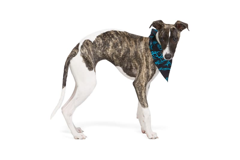 SSENSE Dog Clothing MISBVH Bandana Monogram