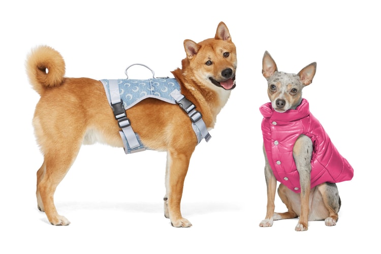 SSENSE Releases Second Drop of Luxe Dog Clothing by Marine Serre, 1017 ALYX 9SM and More