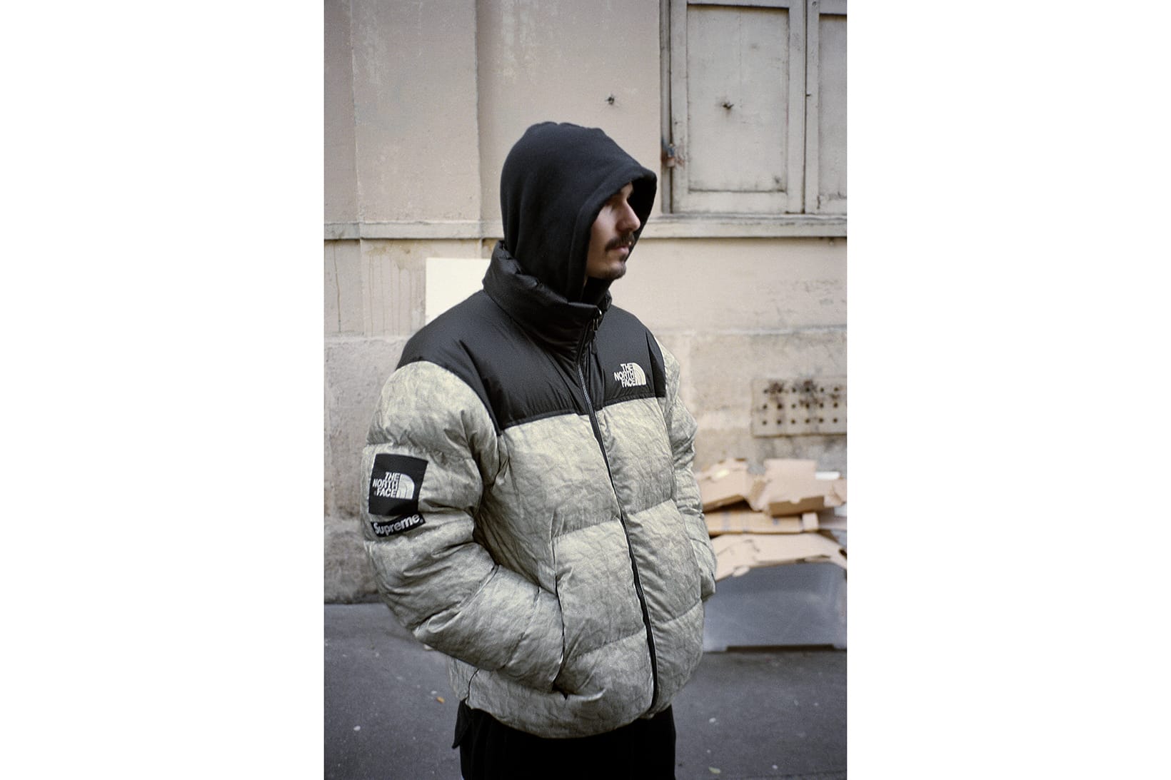 northern face winter coats