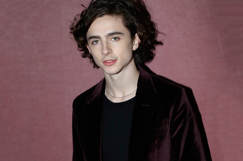 dress like timothee chalamet