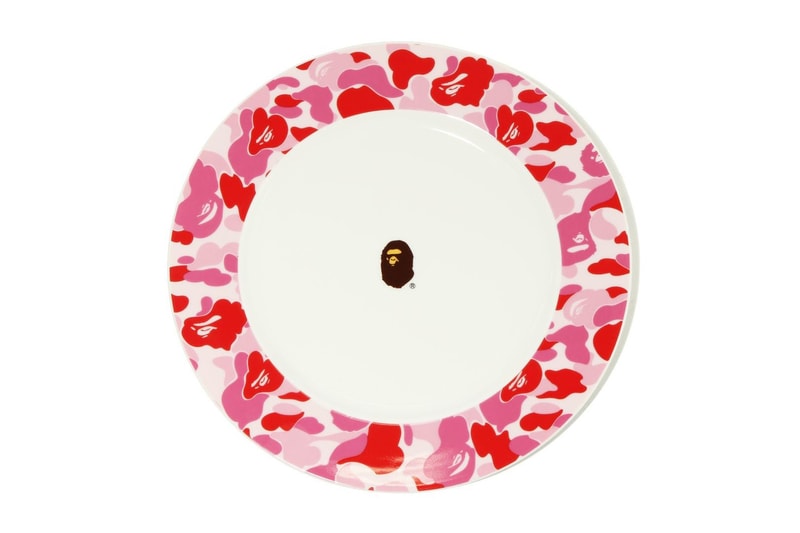 BAPE Home Decor Camouflage Collection Print Graphic 