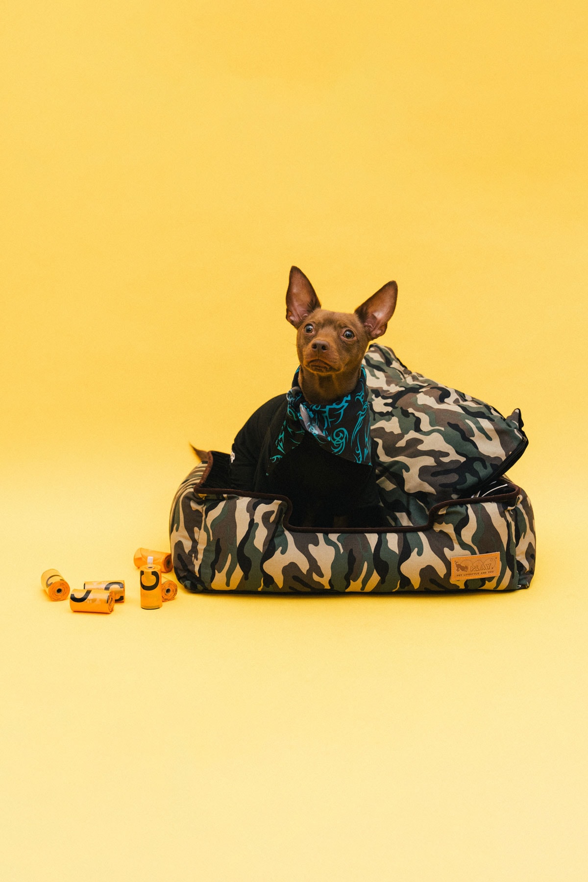 The 10 Best Dog Clothing and Accessory Brands