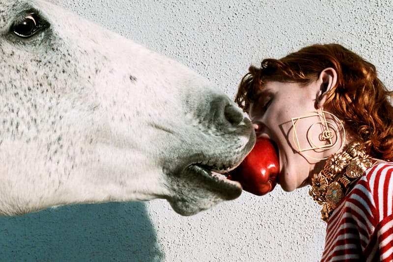 gucci spring summer advertising campaign alessandro michele yorgos lanthimos horses