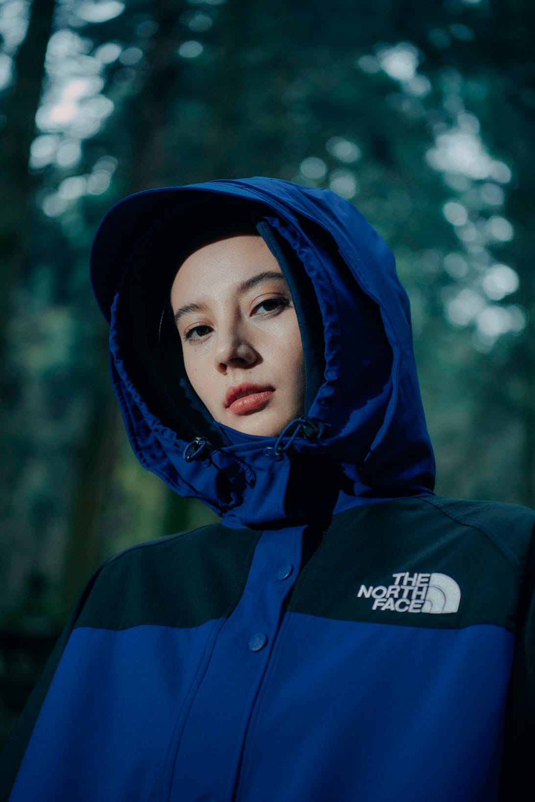 north face women's urban explorer jacket