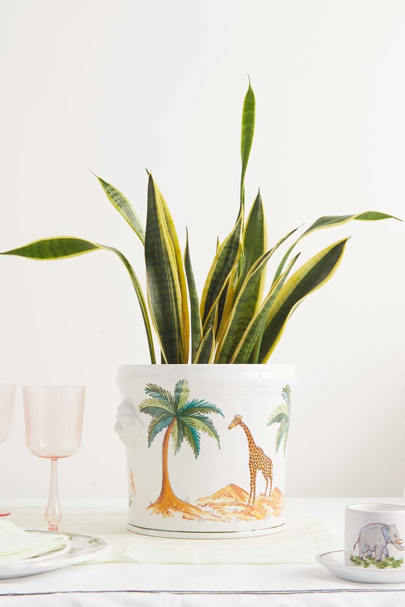 best designer homeware zdg zoe de givenchy plant pots vases giraffe