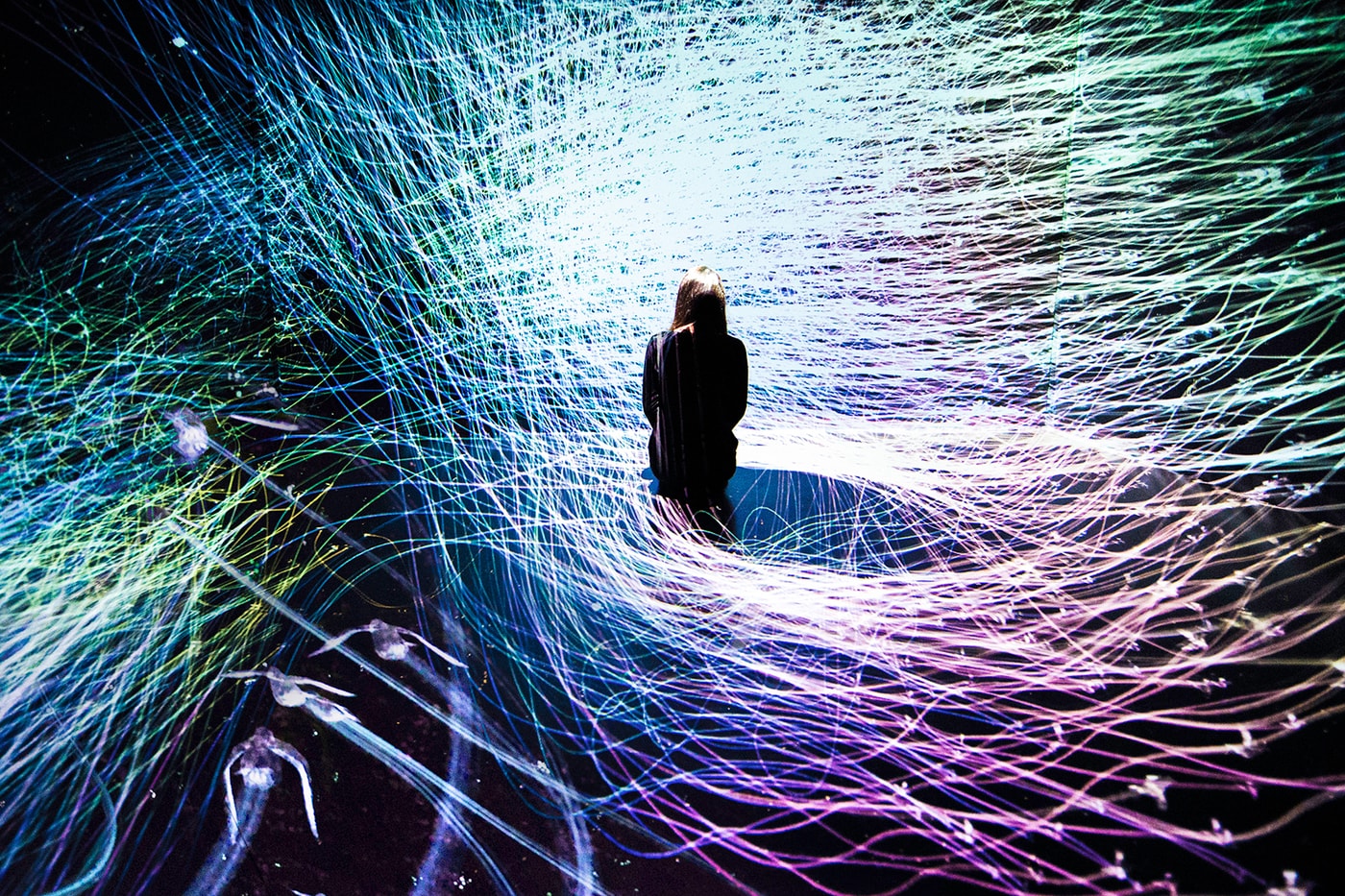 teamlab future world exhibition singapore artscience museum digital artwork the way of birds hideaki takahashi neon lights