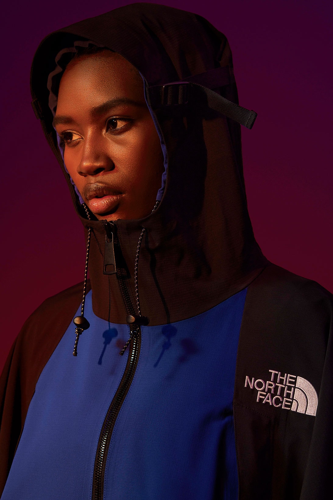 the north face spring summer black series collection mountain light jackets outerwear