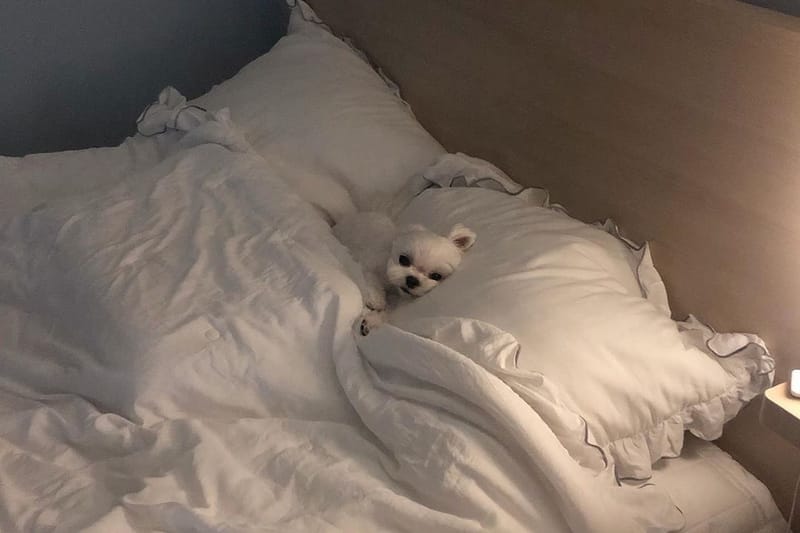 Sleep Better at Night With These 6 Mobile Apps