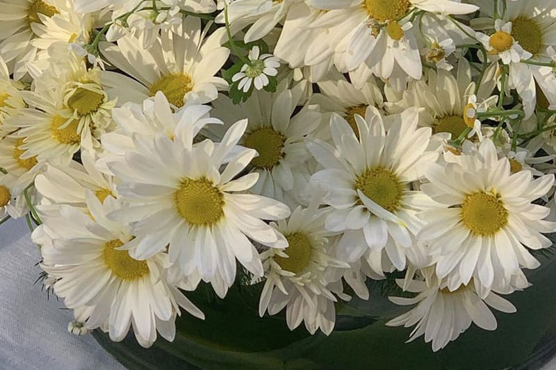 flowers guaranteed delivery for mother's day