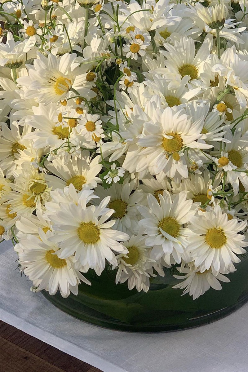 Flowers Bouquet Floral Arrangement White Daisy