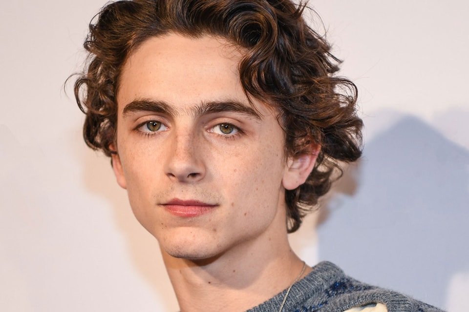 Timothee Chalamet Call Me By Your Name Sequel