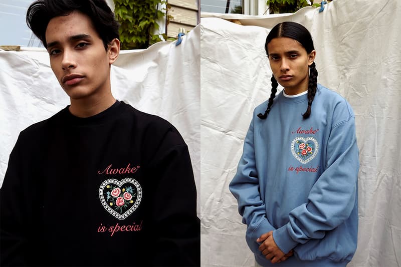 awake ny sam friedman spring summer collaboration purple pastel green hoodies