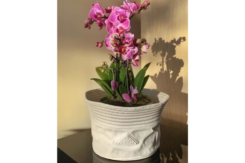 sacai x Nike LDV Waffle Plant Pot Vase Sneaker Shoe Bodega Rose