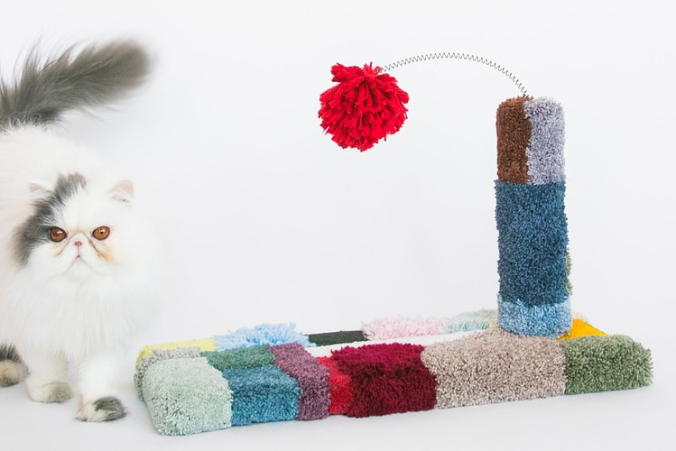 10 Brands Making Stylish (and Fun) Pet Furniture for Dogs and Cats