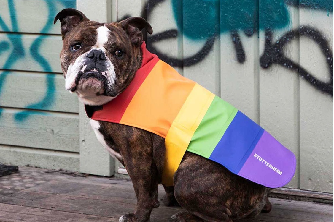 Stutterheim Vladimir Dog Coat Rainbow Pride Month