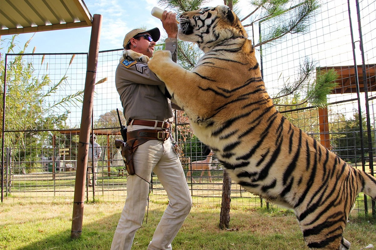 Netflix 'Tiger King' New Upcoming Episodes Siegfried & Roy Documentary
