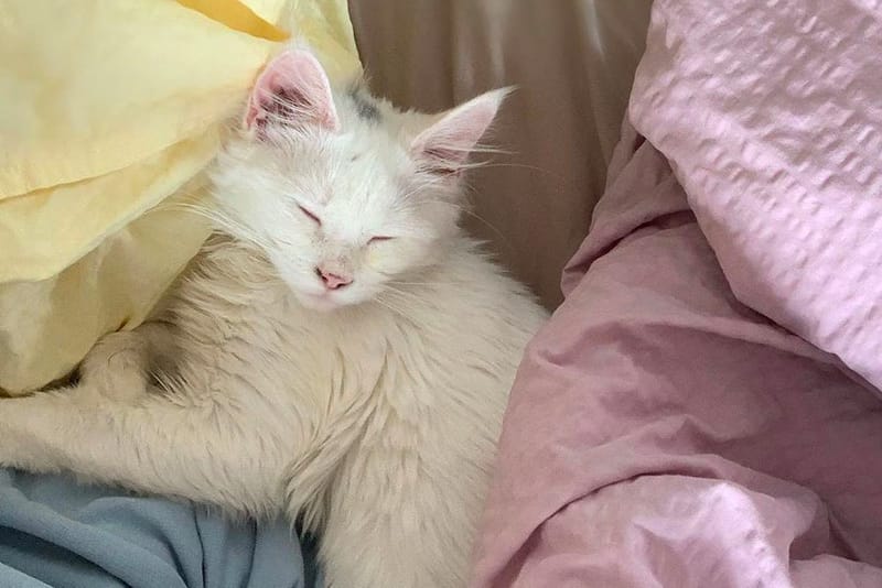 Here Are 7 Things to Do This Bank Holiday