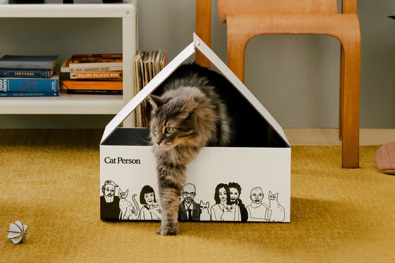 Cat Person NYC Animal Care Center Donation Program Adoption Kittens Cats Food Toys