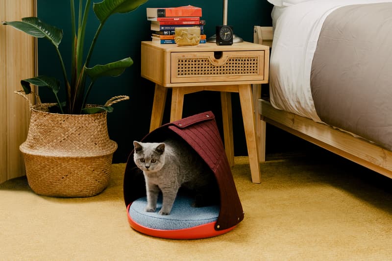 Cat Person NYC Animal Care Center Donation Program Adoption Kittens Cats Food Toys
